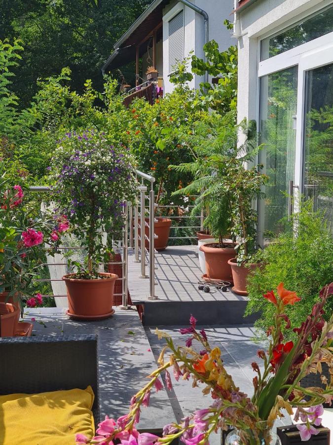 Cozy Room With A Beautiful Garden View Баунаталь Экстерьер фото